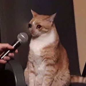 Meet your Posher, Araceli